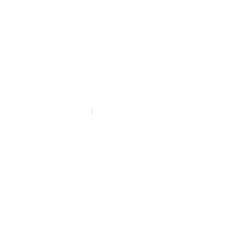 Side Image